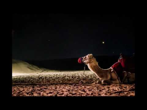 FunKamel & ShaSha Live set 10.2.20 @ Cactus9, Jerusalem [melodic techno / Indie Dance mix]