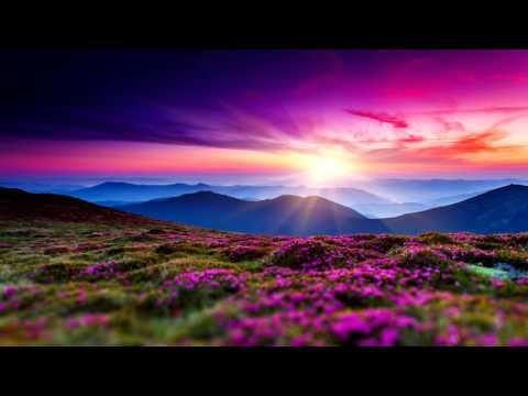 Souls in Motion - Sensual Illusion - Forerunners Remix