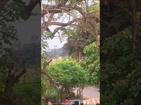 Última Hora: Incendio en Colonia María Luisa Dos, Izabal