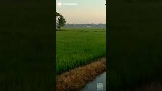 Download lagu Status WA keren | pemandangan alam | Klaten Jawa tengah mp3