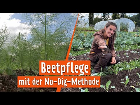 To dig or not to dig? 'No Dig' only loosens the soil. | MDR Garden