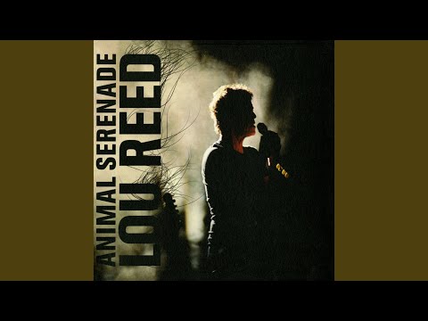 Venus in Furs (Live)