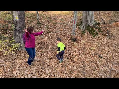 Ep.71: Sovata și împrejurimi: Vârful Becheci (Munții Gurghiului) și Câmpu Cetății