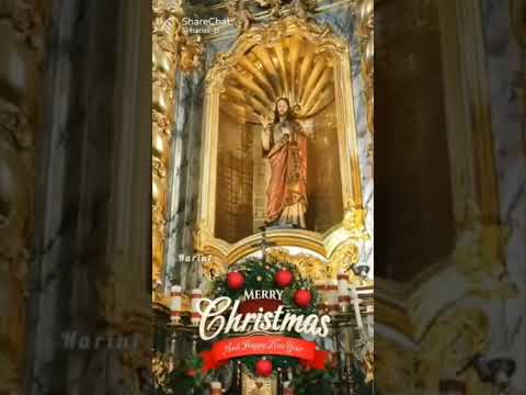 #merrychristmas ...#CRISTMAS WISHING SONG.....