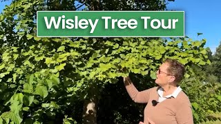 Download the video "Rosy Tours The Beautiful Trees of RHS Garden Wisley"