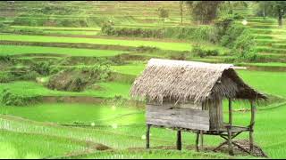 Download lagu KECAPI SULING BUAT SUNGKEM TERBAIK mp3