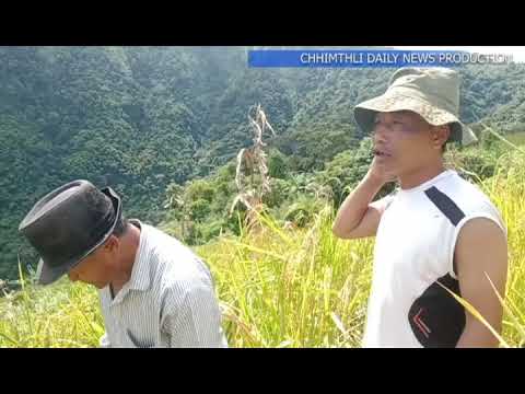 SENTETFIANG LO NEITUTE KAWMNA, CHHIMTHLI DAILY NEWS