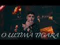 ɴɪᴄᴜ ɢᴜᴛᴀ ᴏ ᴜʟᴛɪᴍᴀ ᴛɪɢᴀʀᴀ OFICIAL VIDEO 2022 NicuGuta