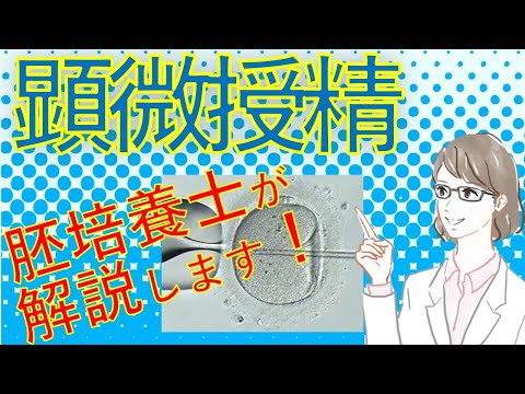体外生物学について詳しく解説