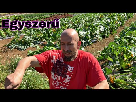 hogyan kezeli a visszéreket ecettel visszértágulat műtét rehabilitációja