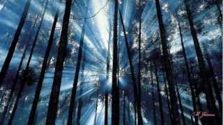 DJ X ~ Sonic ~ Blue Sun [Electro Mix] (HD)