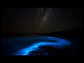 Acid Lab - Forgotten Planets [Omni Music]