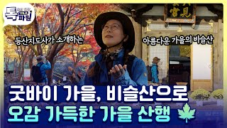 비슬산에서 만나는 가을의 마지막 선물 ???? [#지금은지방시대]