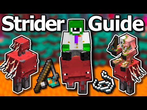 Ultimate Minecraft 1.21 Strider Guide - How To Ride Striders Fast, Breeding, Warped Fungus