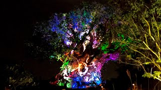Tree Of Life Awakening Projection Show | Disney’s Animal Kingdom 2018