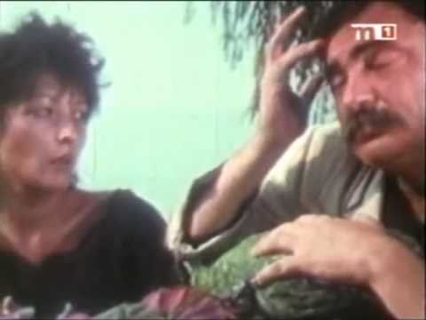 A. E. Bizottság - Milarepaverzió