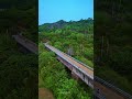 Villages Of Palakkad Kerala Shortsvideo Palakkad Villagelife
