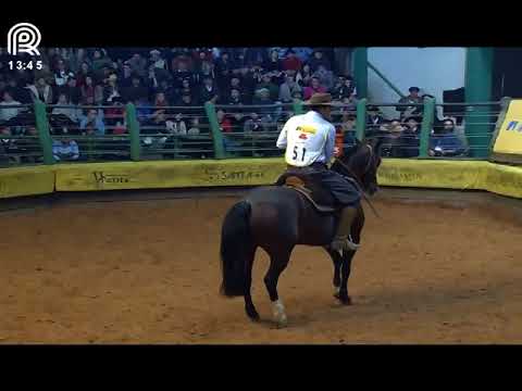 Final Freio de Ouro (RS) – 4° lugar fêmeas – Quelen Provinciana (Prova: Mangueira II)