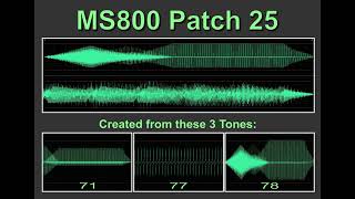 Video thumbnail for Cheetah MS800  In depth Part 2 by Paddy C