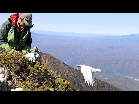 展示中の男性。