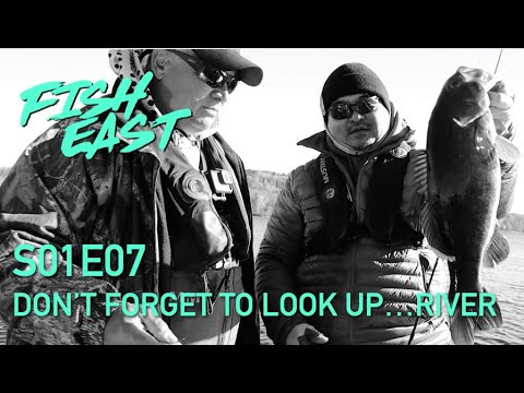 Fish East S01E07 | Don’t Forget to Look Up…..River