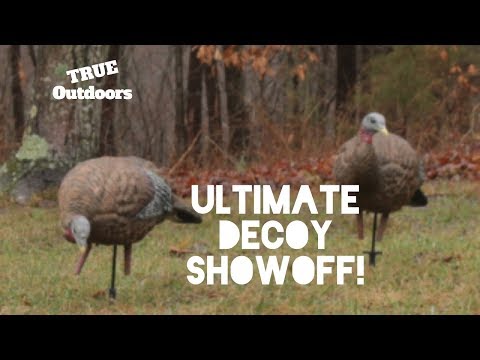 Decoy Showoff Review & Comparison | Avian-X, Flextone, and Primos