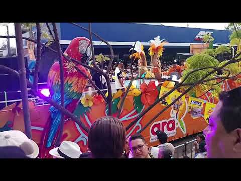 Revive el Desfile en Carrozas Feria Ganadera Montería Córdoba 2026 | Fiestas de Montería 