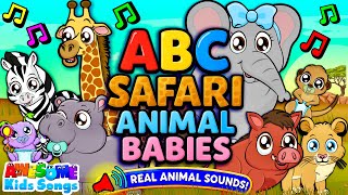 Safari Baby Animals ABC Song – Learn Letters, Phonics & Animal Sounds!