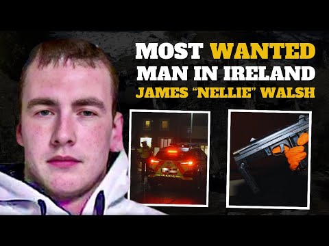 €200,000 Bounty: The Manhunt for James 'Nellie' Walsh Explained