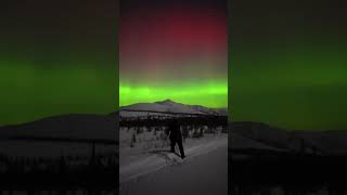 I regret moving to Alaska for this one reason!