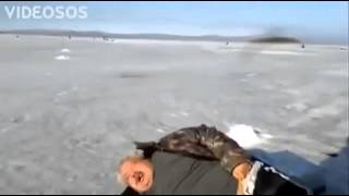 Когда это бывает ласточки летают низко рыба не клюет