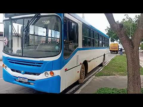 Transporte escolar da cidade de Riacho das Almas PE