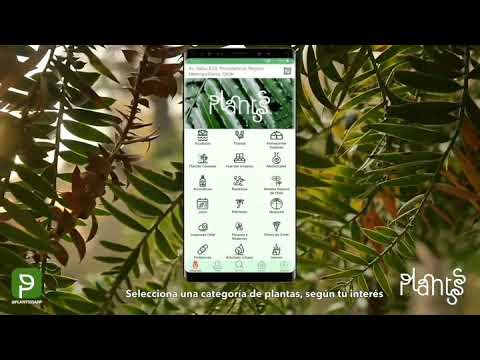 Plantsss
