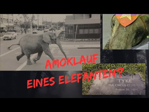 Nach 20 Jahren konnte sie es einfach nicht mehr ertragen… I Der Fall Tyke I Doku 2023