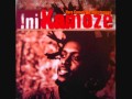 ini KAMOZE-here comes the hotstepper