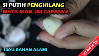 Download lagu 5 Menit Mata Ikan Hilang! Cara Mengobati Mata Ikan di Kaki Kaki Tanpa Operasi dengan Bahan Alami mp3
