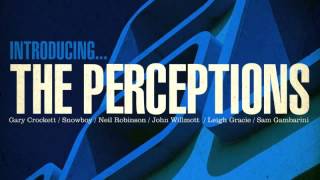 08 The Perceptions - Hurricane Warning [Freestyle Records]