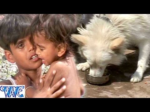 Dudh Roti Khaye Kukura Babuaa Chatpatata — watch video