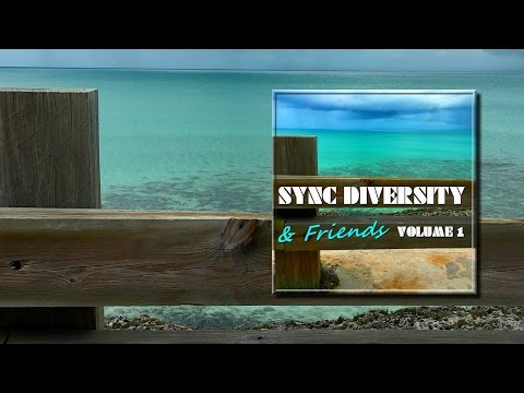 Sync Diversity - Security (Ian Coleen Mix)