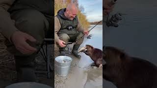 Video thumbnail image