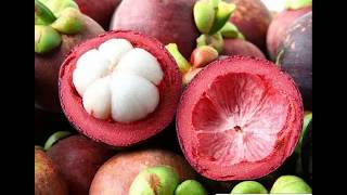 TOP 10 RARE FRUITS: AMAZON FRUITS