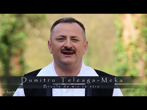 Dumitru Teleaga (Meka) - Braule de mic te stiu