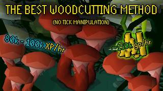 Fossil Island Sulliusceps OSRS Woodcutting Guide