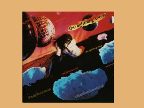 01 The Lightning Seeds / All I Want