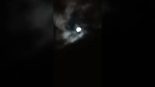 https://www.youtube.com/embed/jqZAivEJp_w