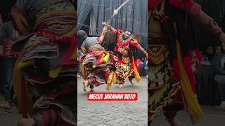 Download lagu Mecut. Jaranan Buto #barongbanyuwangi #shortvideo #kesenianbanyuwangi #ndadi mp3 Download lagu Mecut. Jaranan Buto #barongbanyuwangi #shortvideo #kesenianbanyuwangi #ndadi mp3