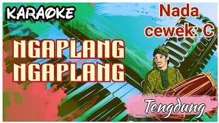 Download lagu NGAPLANG NGAPLANG - KARAOKE ( Nada cewek ) mp3