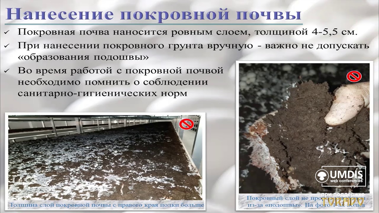 Производство покровной почвы. Презентация Дмитрия Медведева на веб-конференции 17.11.2020