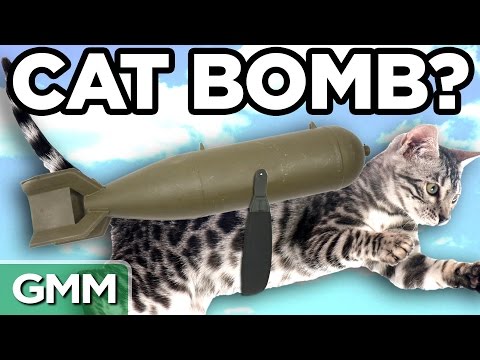 5 Stupidest Weapons Ever Built