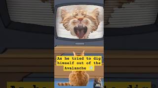 As he tried to dig himself out of the Avalanche #remix #cat #facts #funny